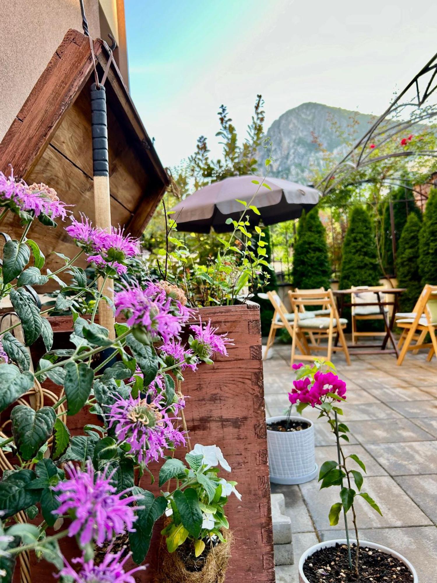 Comfort Luxury Apartments Vratsa Exteriér fotografie